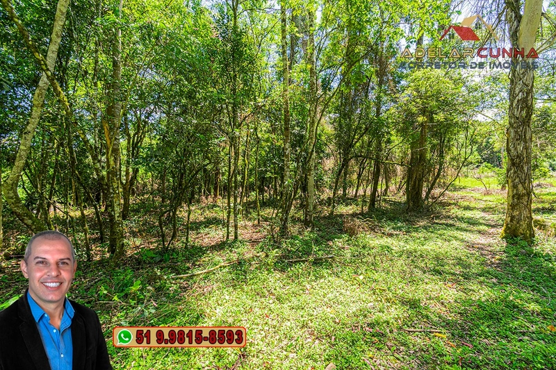 Sítio de 4.5 hectares com um Belíssimo Riacho à VENDA em Três Coroas: 20ª foto da galeria de imagens do imóvel