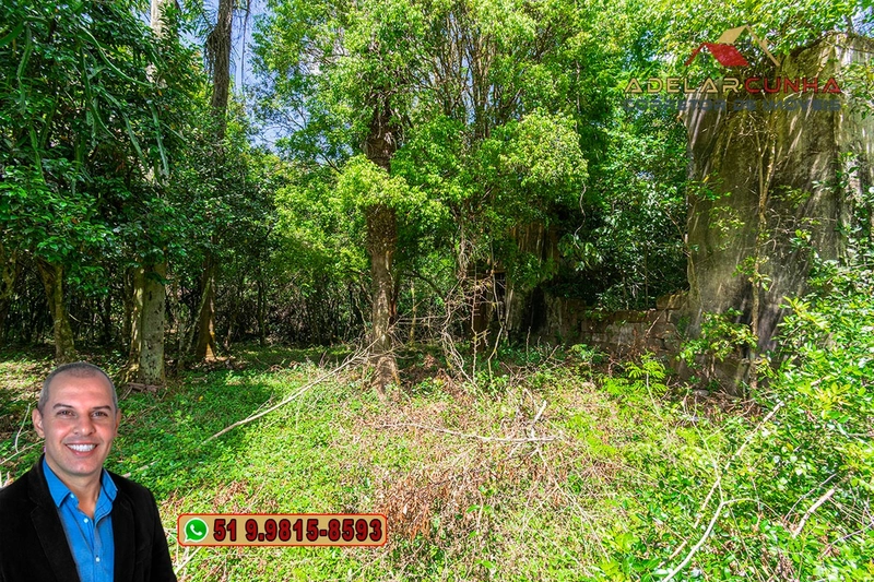 Sítio de 4.5 hectares com um Belíssimo Riacho à VENDA em Três Coroas: 28ª foto da galeria de imagens do imóvel