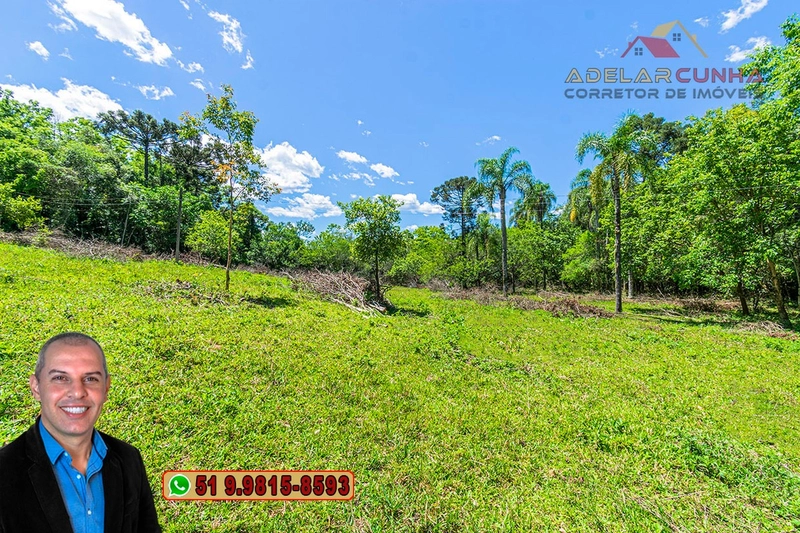Sítio de 4.5 hectares com um Belíssimo Riacho à VENDA em Três Coroas: 21ª foto da galeria de imagens do imóvel