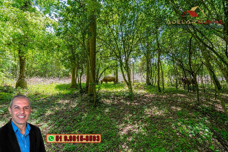 Sítio de 4.5 hectares com um Belíssimo Riacho à VENDA em Três Coroas: 54ª foto da galeria de imagens do imóvel