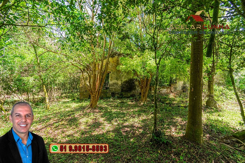Sítio de 4.5 hectares com um Belíssimo Riacho à VENDA em Três Coroas: 51ª foto da galeria de imagens do imóvel