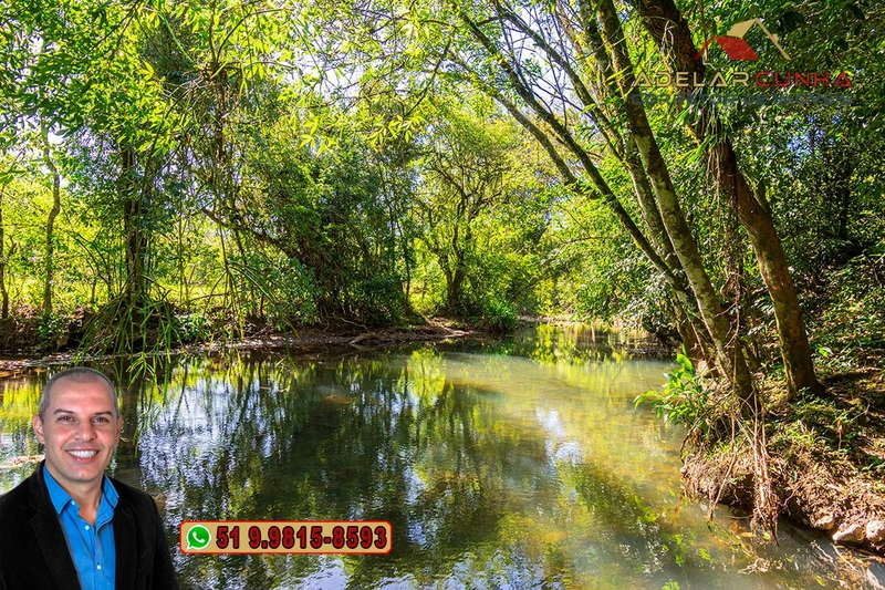 Sítio de 4.5 hectares com um Belíssimo Riacho à VENDA em Três Coroas: 33ª foto da galeria de imagens do imóvel