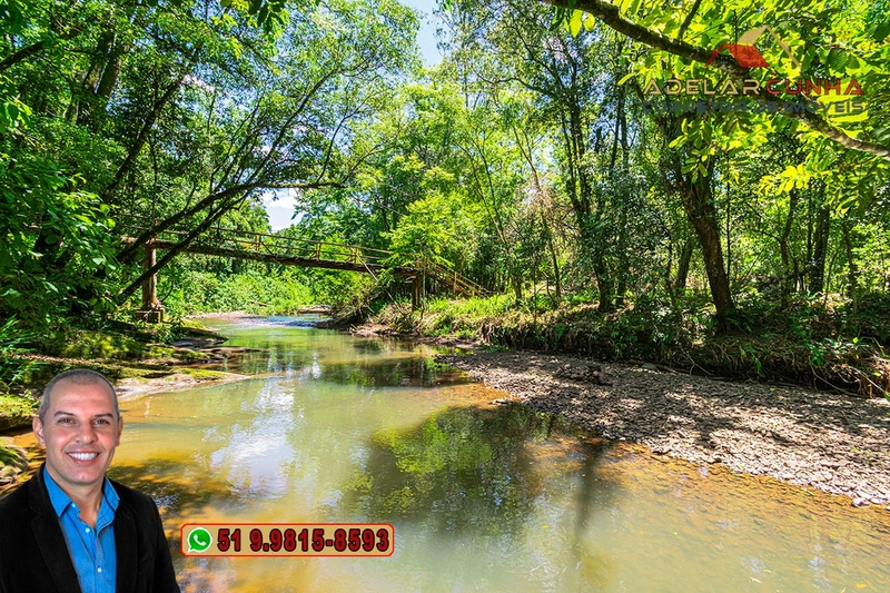 Sítio de 4.5 hectares com um Belíssimo Riacho à VENDA em Três Coroas: 29ª foto da galeria de imagens do imóvel