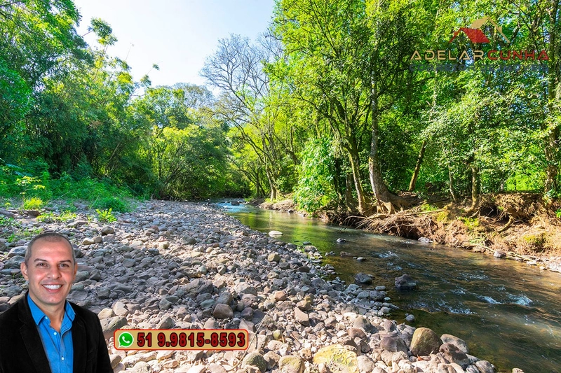 Sítio de 4.5 hectares com um Belíssimo Riacho à VENDA em Três Coroas: 14ª foto da galeria de imagens do imóvel