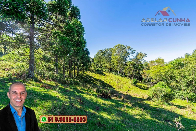 Sítio de 13 hectares à VENDA na Rota das Nuvens em Igrejinha - RS : 18ª foto da galeria de imagens do imóvel