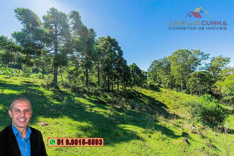 Sítio de 13 hectares à VENDA na Rota das Nuvens em Igrejinha - RS : 19ª foto da galeria de imagens do imóvel
