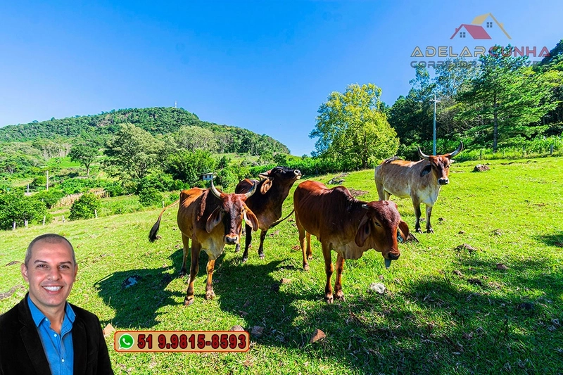 Sítio de 13 hectares à VENDA na Rota das Nuvens em Igrejinha - RS : 17ª foto da galeria de imagens do imóvel