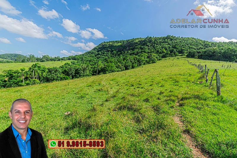 Chácara de 2.9 Hectares à VENDA em Lomba Grande - Novo Hamburgo - RS: 9ª foto da galeria de imagens do imóvel