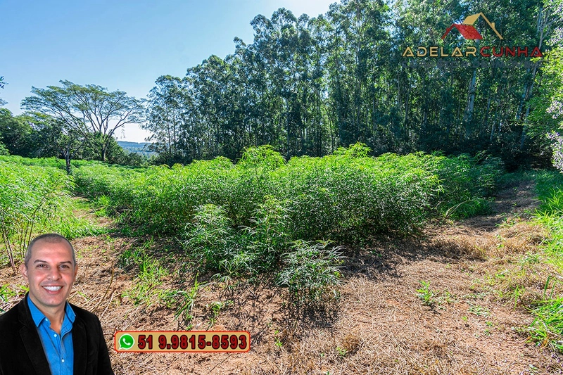 Sítio de 10 Hectares à Venda em Parobé – RS : 20ª foto da galeria de imagens do imóvel