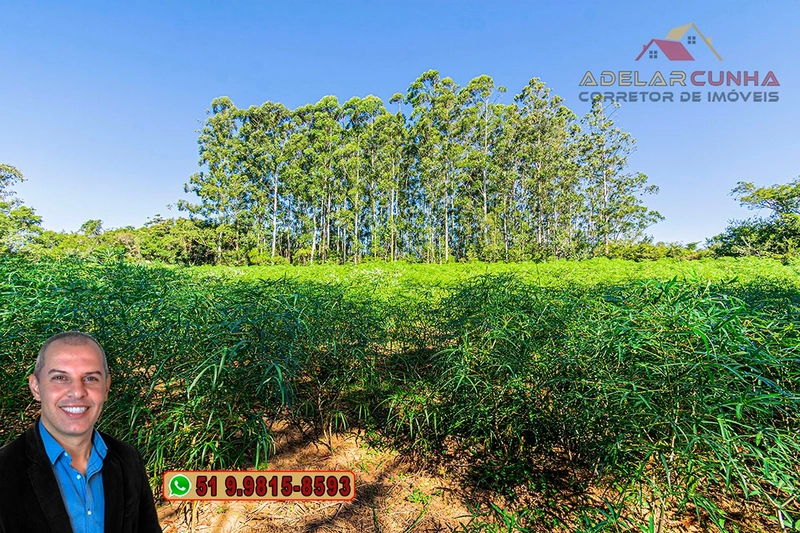 Sítio de 10 Hectares à Venda em Parobé – RS : 26ª foto da galeria de imagens do imóvel