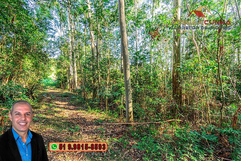 Sítio de 10 Hectares à Venda em Parobé – RS : 18ª foto da galeria de imagens do imóvel