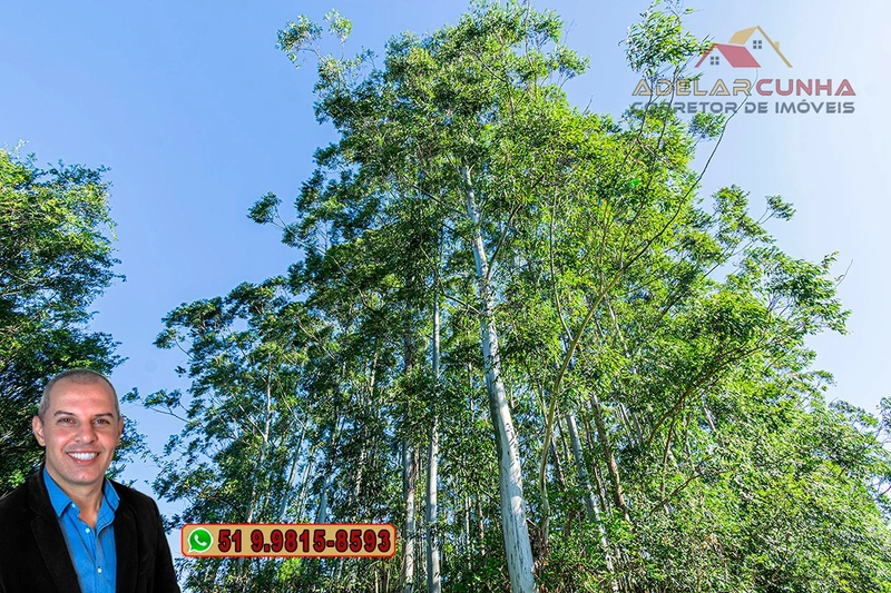 Sítio de 10 Hectares à Venda em Parobé – RS : 31ª foto da galeria de imagens do imóvel