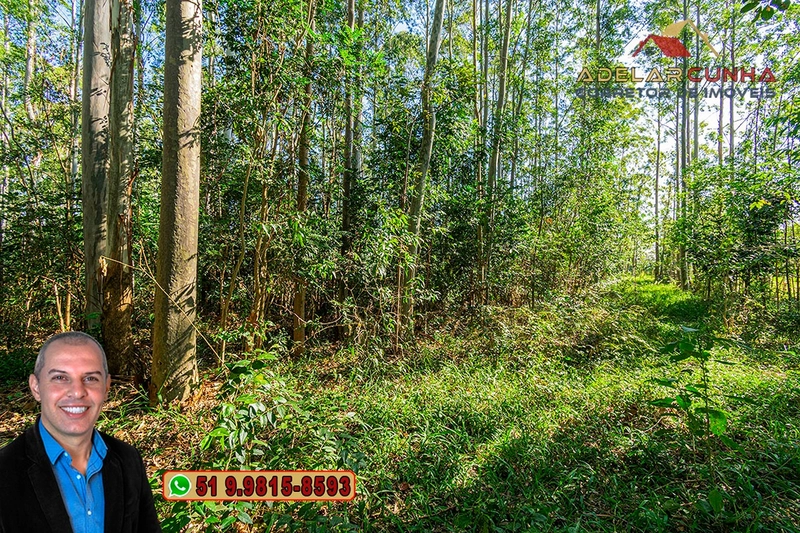 Sítio de 10 Hectares à Venda em Parobé – RS : 11ª foto da galeria de imagens do imóvel