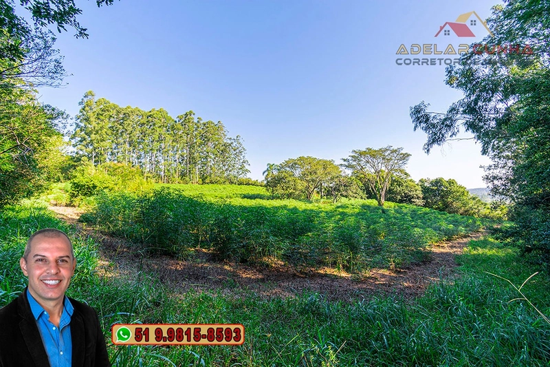 Sítio de 10 Hectares à Venda em Parobé – RS : 19ª foto da galeria de imagens do imóvel