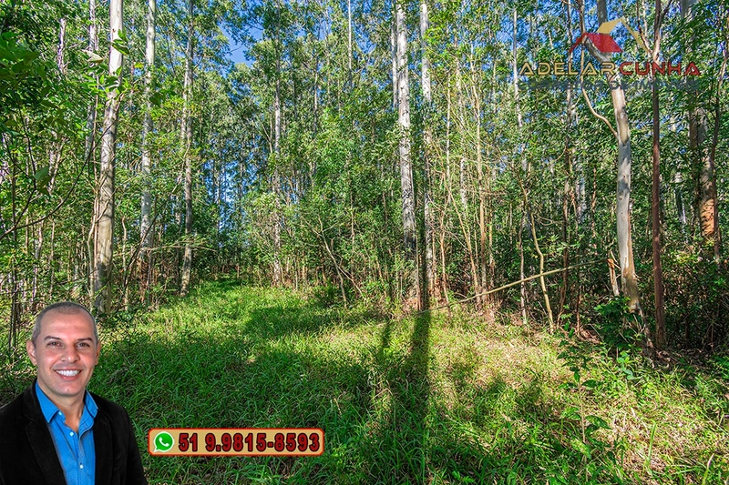 Sítio de 10 Hectares à Venda em Parobé – RS : 10ª foto da galeria de imagens do imóvel
