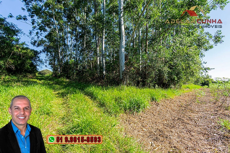 Sítio de 10 Hectares à Venda em Parobé – RS : 30ª foto da galeria de imagens do imóvel