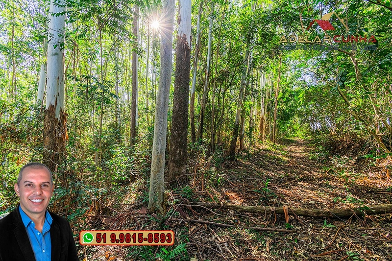 Sítio de 10 Hectares à Venda em Parobé – RS : 16ª foto da galeria de imagens do imóvel