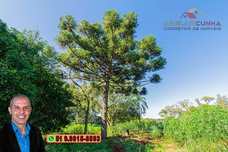 Sítio de 10 Hectares à Venda em Parobé – RS : 25ª foto da galeria de imagens do imóvel