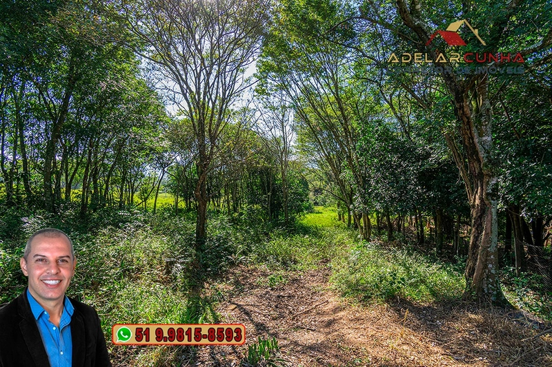 Sítio de 10 Hectares à Venda em Parobé – RS : 6ª foto da galeria de imagens do imóvel