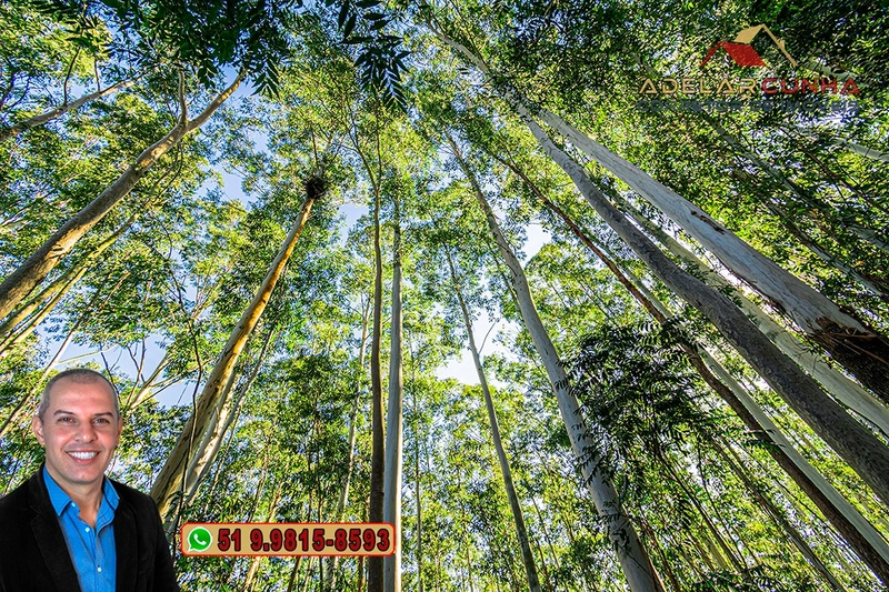 Sítio de 10 Hectares à Venda em Parobé – RS : 17ª foto da galeria de imagens do imóvel