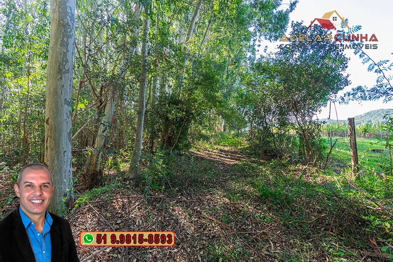 Sítio de 10 Hectares à Venda em Parobé – RS : 13ª foto da galeria de imagens do imóvel