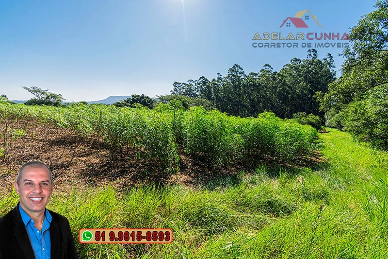 Sítio de 10 Hectares à Venda em Parobé – RS : 28ª foto da galeria de imagens do imóvel