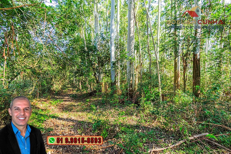 Sítio de 10 Hectares à Venda em Parobé – RS : 14ª foto da galeria de imagens do imóvel