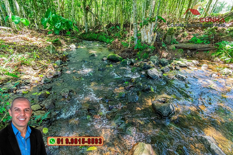Sítio de 4.9 hectares à VENDA Gramado - RS: 9ª foto da galeria de imagens do imóvel