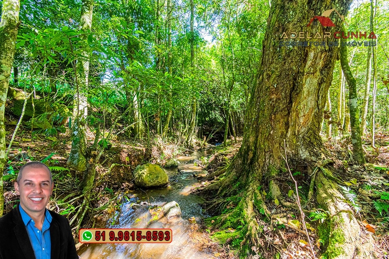 Sítio de 4.9 hectares à VENDA Gramado - RS: 13ª foto da galeria de imagens do imóvel
