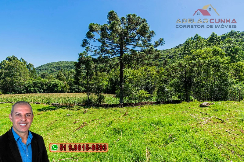 Sítio de 4.9 hectares à VENDA Gramado - RS: 1ª foto da galeria de imagens do imóvel