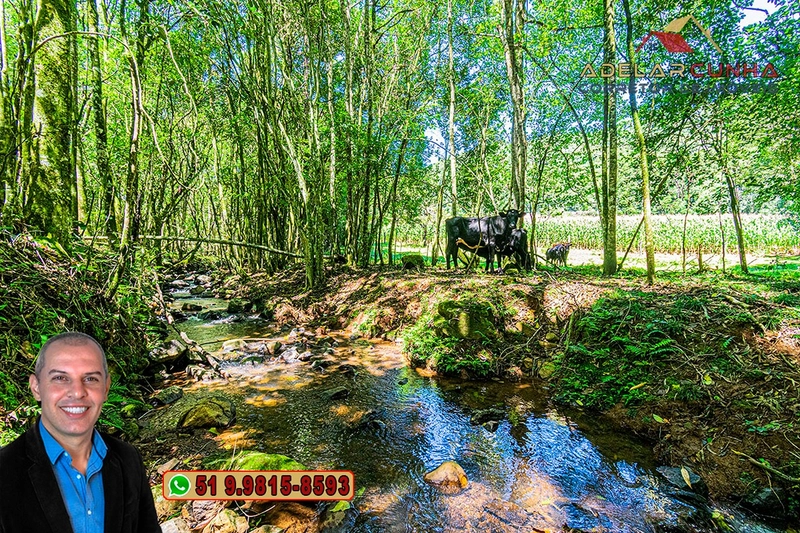 Sítio de 4.9 hectares à VENDA Gramado - RS: 31ª foto da galeria de imagens do imóvel