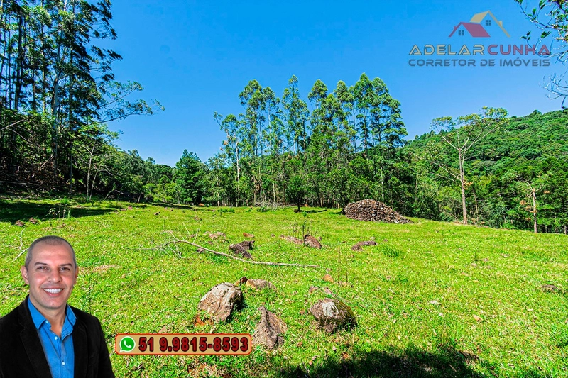 Sítio de 4.9 hectares à VENDA Gramado - RS: 25ª foto da galeria de imagens do imóvel