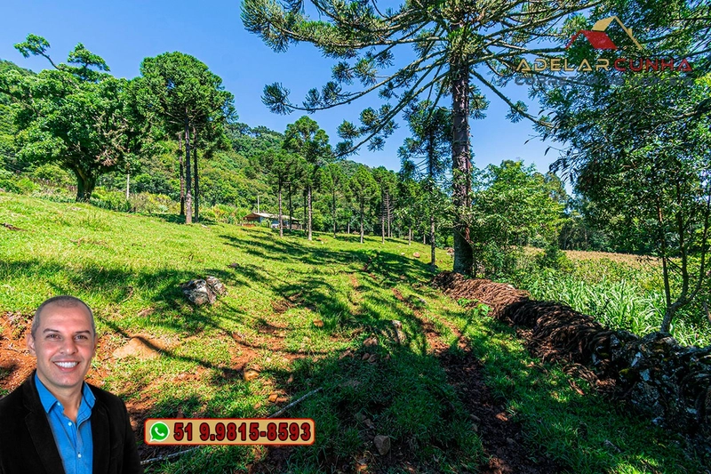 Sítio de 4.9 hectares à VENDA Gramado - RS: 4ª foto da galeria de imagens do imóvel