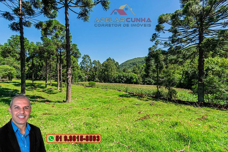 Sítio de 4.9 hectares à VENDA Gramado - RS: 4ª foto da galeria de imagens do imóvel