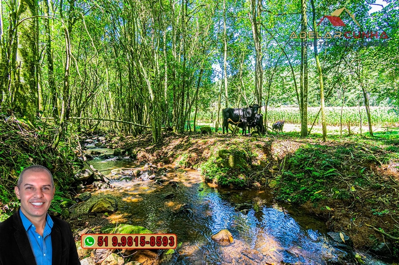 Sítio de 4.9 hectares à VENDA Gramado - RS: 30ª foto da galeria de imagens do imóvel