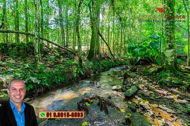Sítio de 4.9 hectares à VENDA Gramado - RS: 12ª foto da galeria de imagens do imóvel