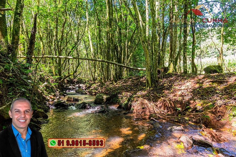 Sítio de 4.9 hectares à VENDA Gramado - RS: 31ª foto da galeria de imagens do imóvel