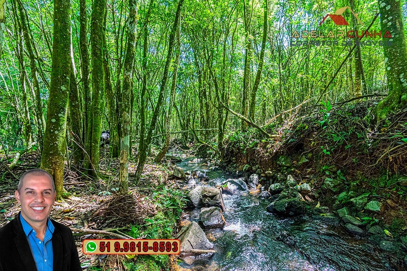 Sítio de 4.9 hectares à VENDA Gramado - RS: 34ª foto da galeria de imagens do imóvel