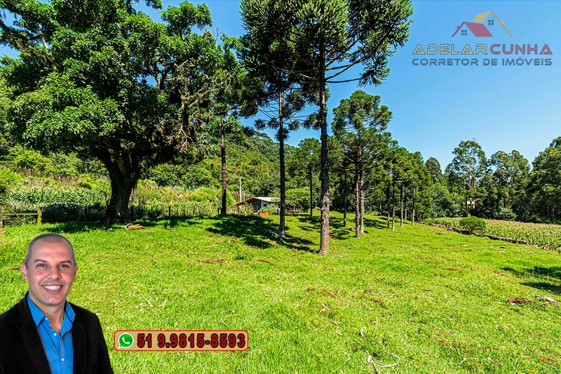 Sítio de 4.9 hectares à VENDA Gramado - RS: 46ª foto da galeria de imagens do imóvel
