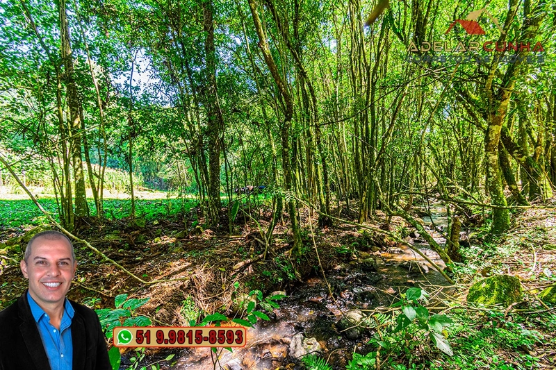 Sítio de 4.9 hectares à VENDA Gramado - RS: 37ª foto da galeria de imagens do imóvel