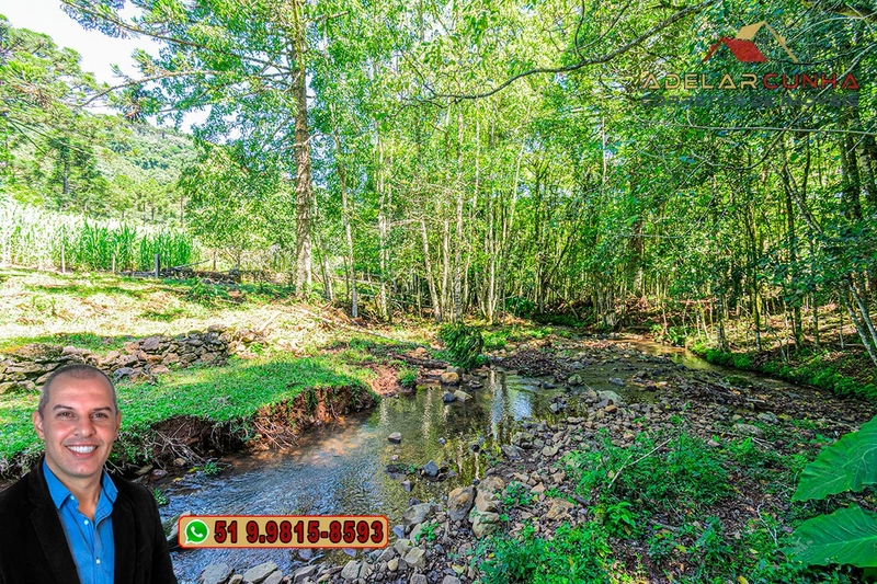 Sítio de 4.9 hectares à VENDA Gramado - RS: 7ª foto da galeria de imagens do imóvel