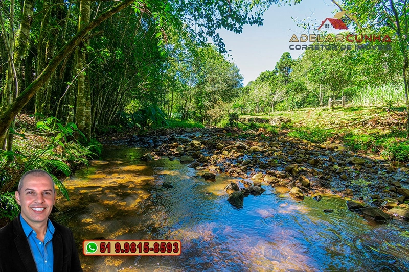 Sítio de 4.9 hectares à VENDA Gramado - RS: 9ª foto da galeria de imagens do imóvel