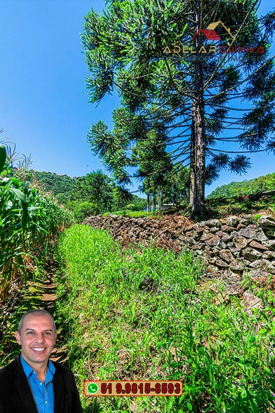 Sítio de 4.9 hectares à VENDA Gramado - RS: 38ª foto da galeria de imagens do imóvel