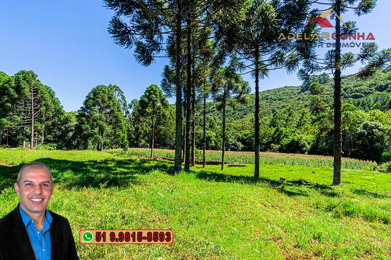 Sítio de 4.9 hectares à VENDA Gramado - RS: 2ª foto da galeria de imagens do imóvel