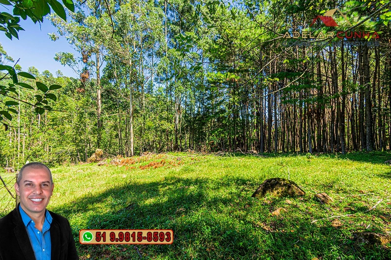 Sítio de 4.9 hectares à VENDA Gramado - RS: 20ª foto da galeria de imagens do imóvel