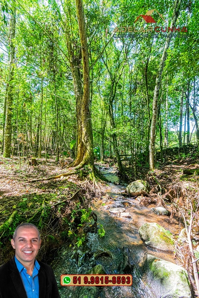 Sítio de 4.9 hectares à VENDA Gramado - RS: 35ª foto da galeria de imagens do imóvel