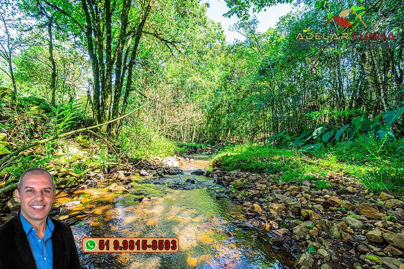 Sítio de 4.9 hectares à VENDA Gramado - RS: 7ª foto da galeria de imagens do imóvel