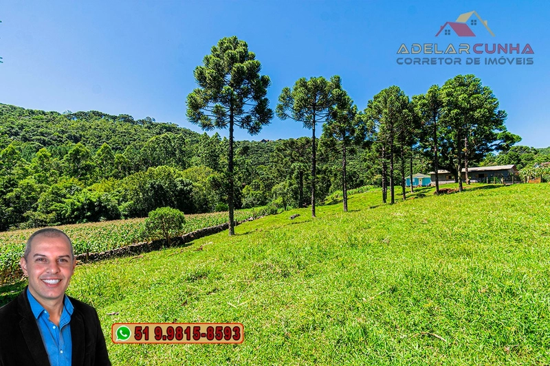Sítio de 4.9 hectares à VENDA Gramado - RS: 40ª foto da galeria de imagens do imóvel