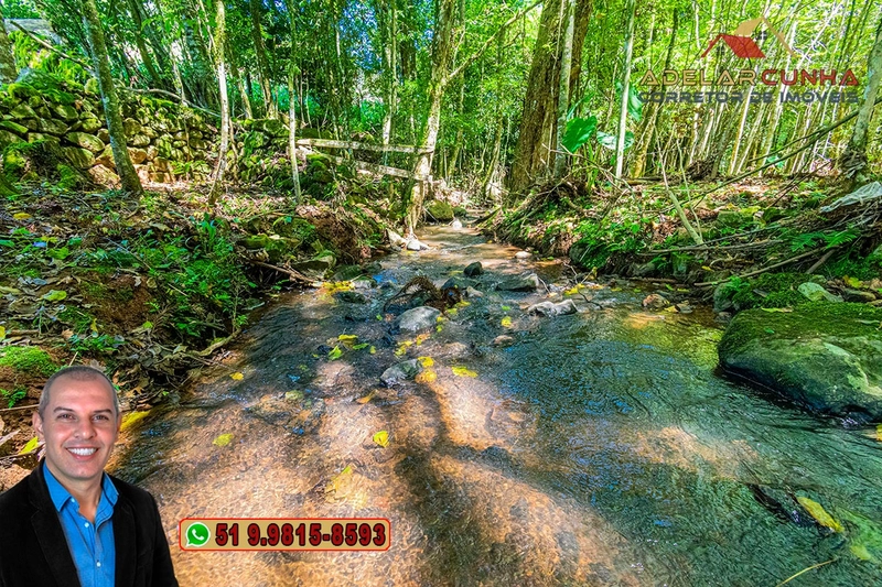 Sítio de 4.9 hectares à VENDA Gramado - RS: 10ª foto da galeria de imagens do imóvel