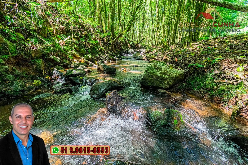 Sítio de 4.9 hectares à VENDA Gramado - RS: 32ª foto da galeria de imagens do imóvel